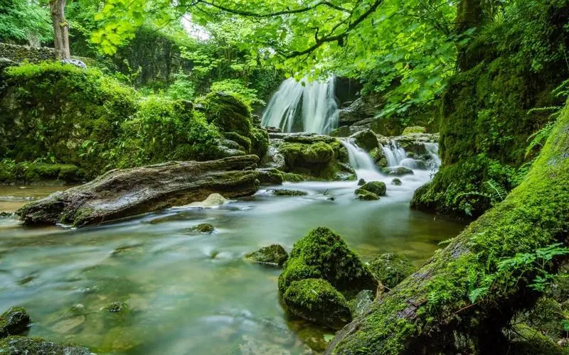 高效科技可靠性